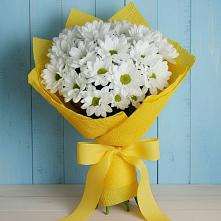 Букет цветов из:  Хризантемы #REPLACE_PRED# Беседы
