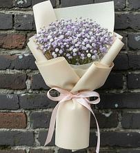 Букет цветов из:  Гипсофила в Беседы