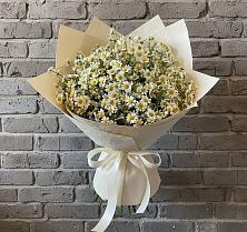 Букет цветов из:  Ромашки в Беседы