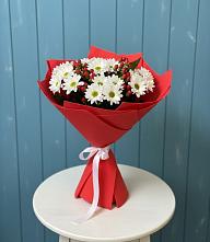 Букет цветов из:  Хризантемы в Беседы
