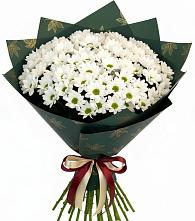 Букет цветов из:  Хризантемы #REPLACE_PRED# Беседы