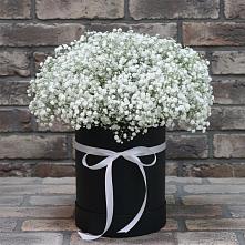 Цветочная композиция из Гипсофила в шляпной коробке #REPLACE_PRED# Беседы