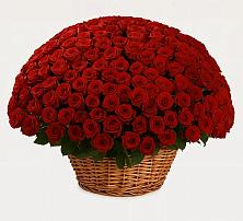 Премиум букет из: Розы в Беседы