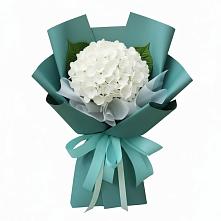 Букет цветов из:  Гортензия #REPLACE_PRED# Беседы